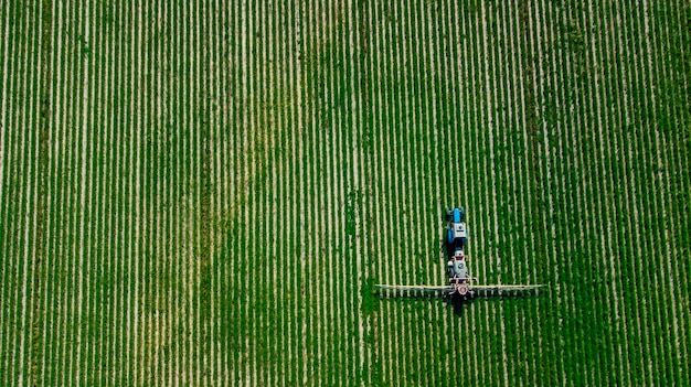 Aerial view of agricultural sprayer working on the green field
on a sunny day