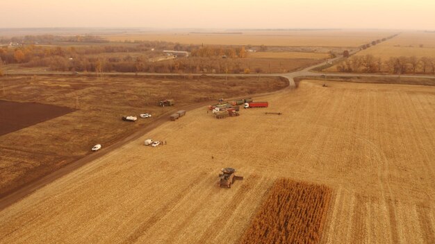 Aerial view agricultural technique gathering corn crop