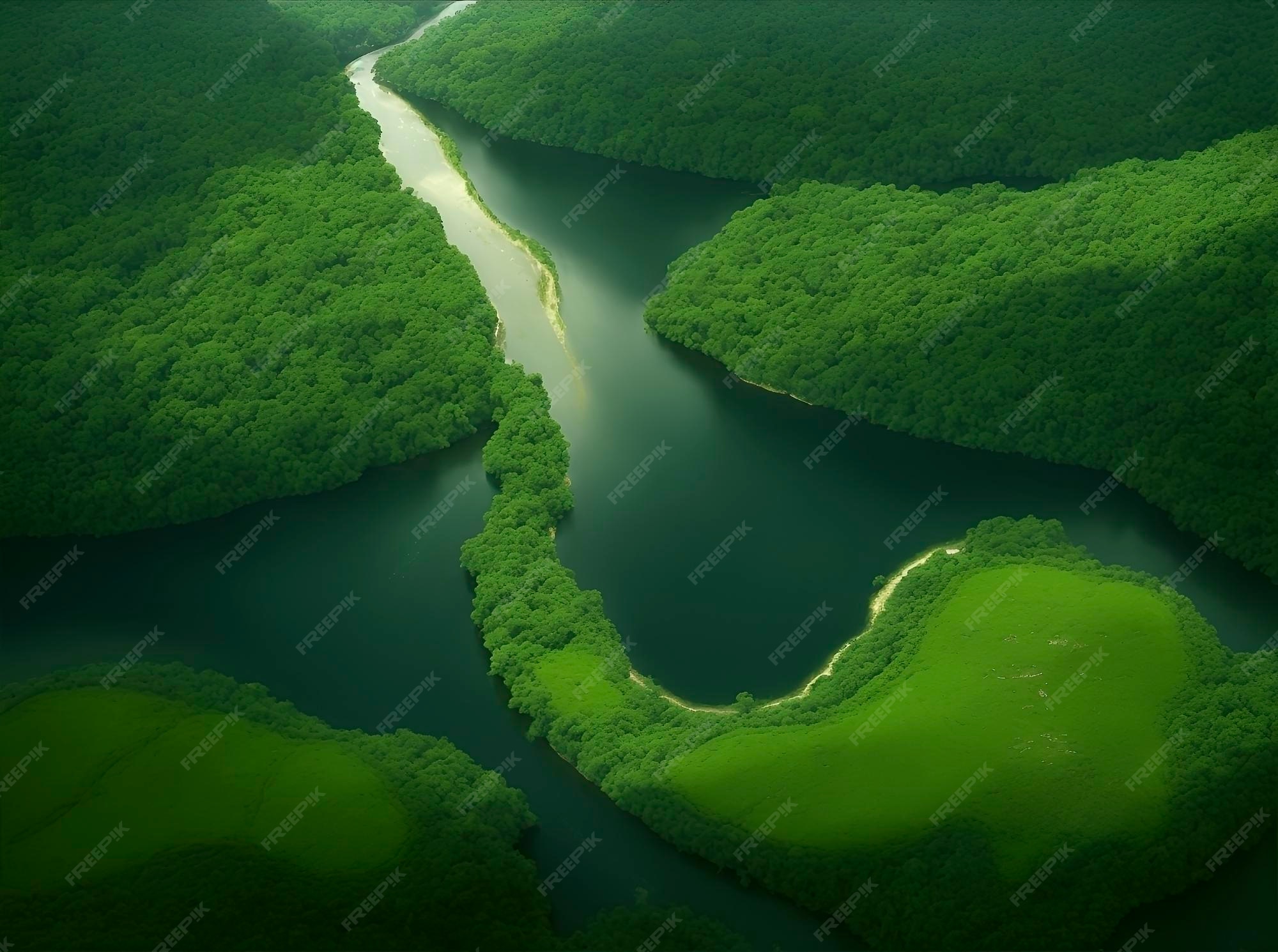 Premium AI Image | An aerial view of the Amazon Rainforest and river at