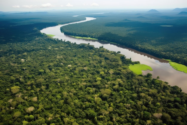 Aerial view of the amazonas with dense rainforest and jungle landscape visible