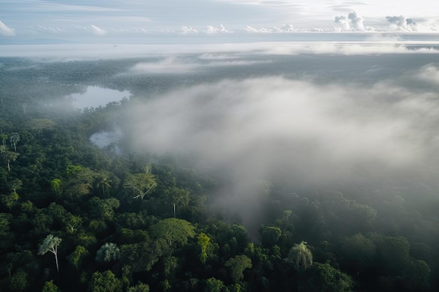 Вид с воздуха на амазонки с туманным лесом и рекой внизу