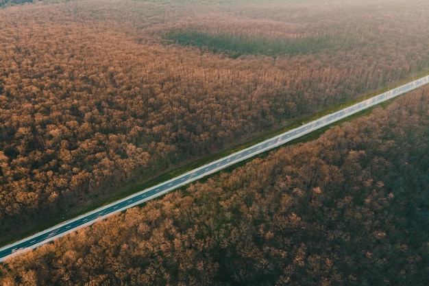 Aerial view of on asphalt road in leafless forest at sunset\
cinematic drone shot flying over straight freeway in the\
mountains