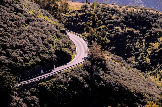 アスファルト道路の航空写真