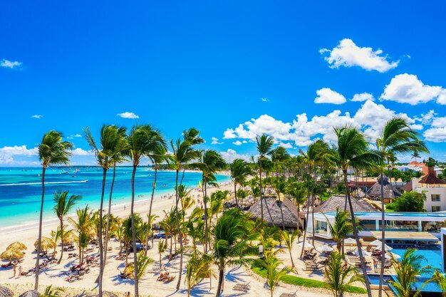 Aerial view of atlantic tropical beach with palms, straw umbrellas and boats