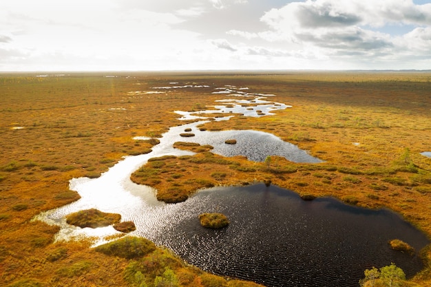 Photo an aerial view of an autumn bog in yelnya belarus autumn ecosystems ecological problems climate change