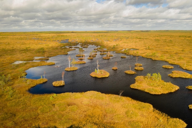 Photo an aerial view of an autumn bog in yelnya belarus autumn ecosystems ecological problems climate change