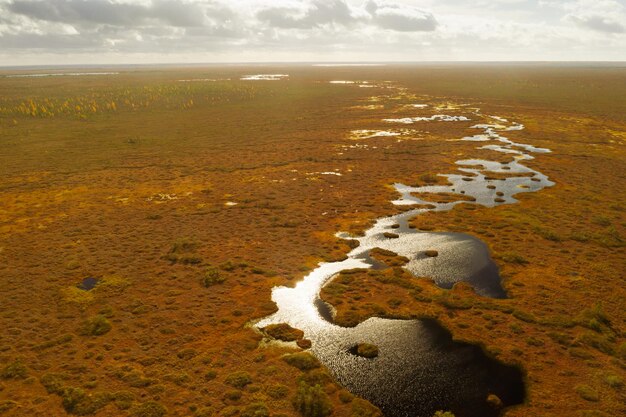 Photo an aerial view of an autumn bog in yelnya belarus autumn ecosystems ecological problems climate change