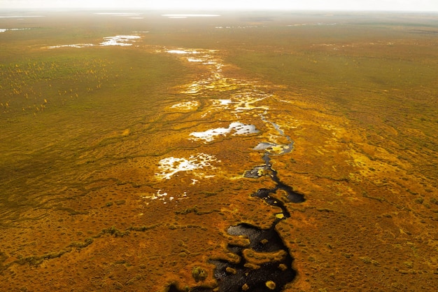 Photo an aerial view of an autumn bog in yelnya belarus autumn ecosystems ecological problems climate change