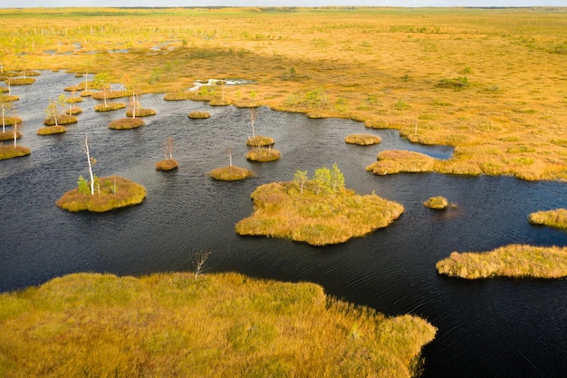 Photo an aerial view of an autumn bog in yelnya belarus autumn ecosystems ecological problems climate change