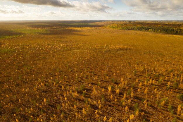 Photo an aerial view of an autumn bog in yelnya belarus autumn ecosystems ecological problems climate change