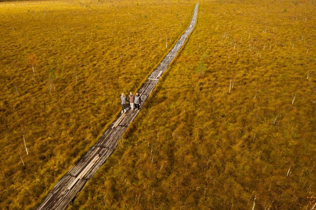 Photo an aerial view of an autumn bog in yelnya belarus autumn tourists walking along the ecotrail