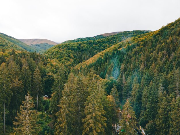 Photo aerial view of autumn carpathian mountains copy space