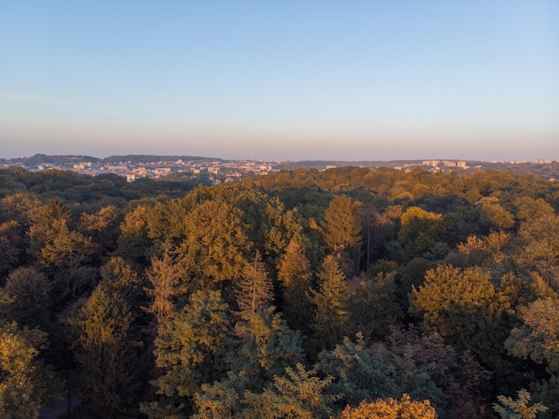 Aerial view of autumn city park on sunset