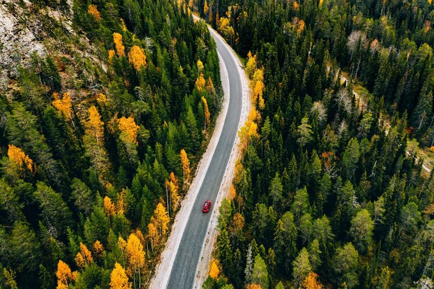 Вид с воздуха на лес осеннего цвета в горах и дорогу с красной машиной в Финляндии Лапландии