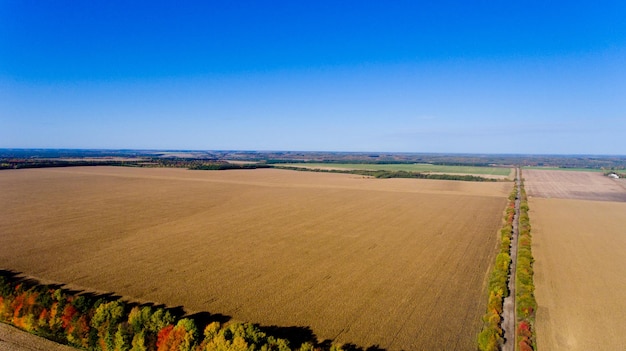 Aerial view of autumn fields