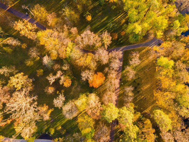 Aerial view of the autumn forest near the river in the afternoon