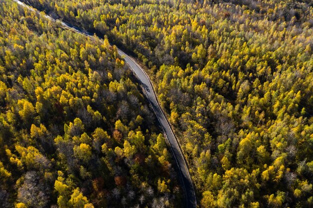 Aerial above view of autumn forest winding road