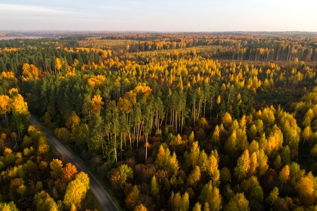 Aerial view of autumn forest