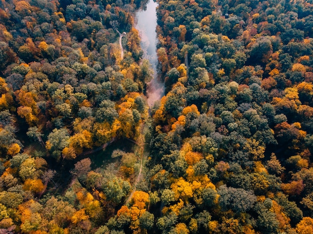 Aerial view of autumn park with lake