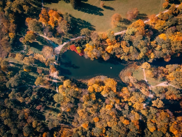 Foto veduta aerea del parco autunnale con il lago