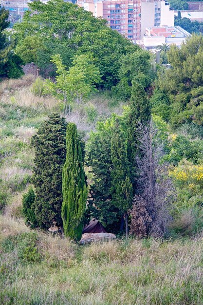 バルセロナとそのスカイラインスペインの航空写真