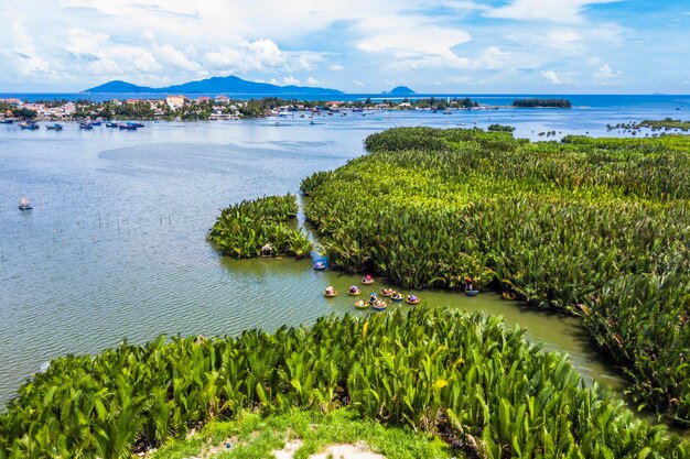 Aerial view a basket boat tour at the coconut water ( mangrove
palm ) forest in cam thanh village, hoi an, bamboo basket boats
near hoi an ancient town. travel and landscape concept.