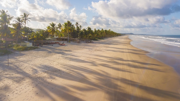 Vista aerea della spiaggia con palme da cocco sulla costa di ilheus bahia brasile. Foto Premium