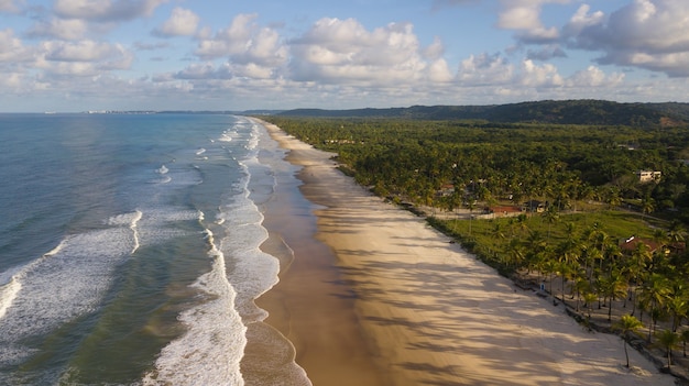 Vista aerea della spiaggia con palme da cocco sulla costa di ilheus bahia brasile. Foto Premium