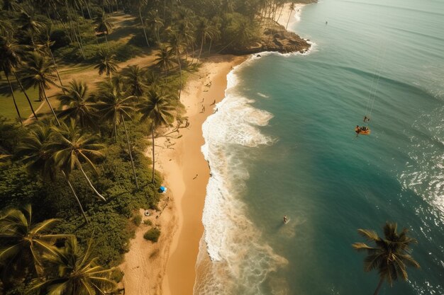 Photo aerial view of a beach with palm trees