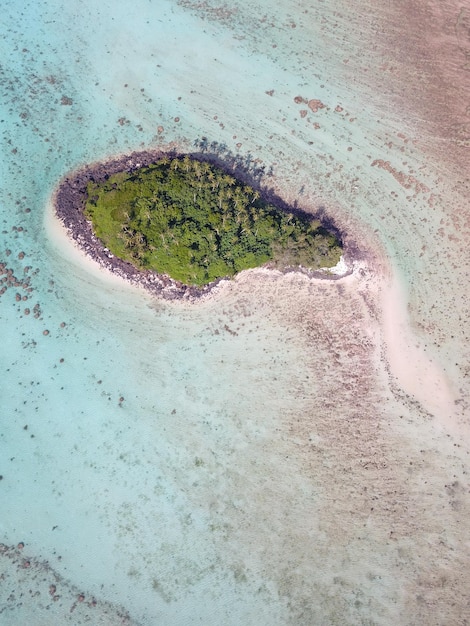 Foto vista aerea della spiaggia