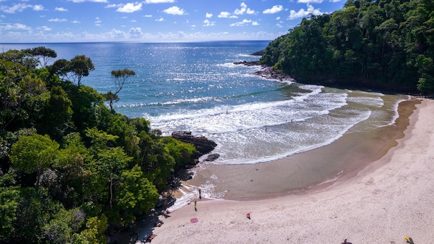 이타카레 바이아 브라질(Itacare Bahia Brazil) 해변의 공중 전망 배경에 숲이 있고 파도가 있는 바다가 있는 작은 해변