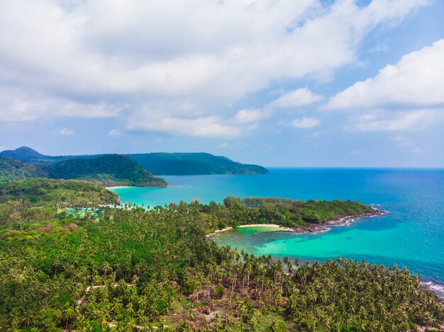 ココヤシのヤシの木と美しいビーチと海の航空写真