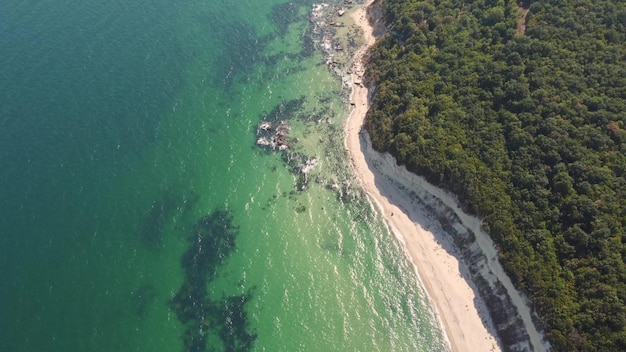 Aerial view of a beautiful beach with a forest and rocks