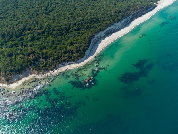 Aerial view of a beautiful beach with a forest and rocks