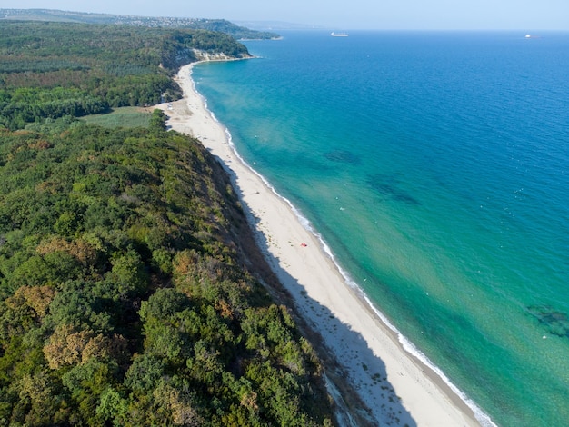 Aerial view of a beautiful beach with a forest and rocks