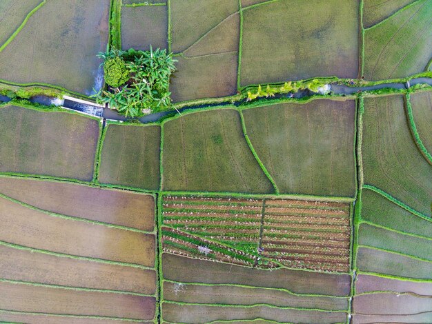 Aerial view beautiful morning view from Indonesia about mountain and forest