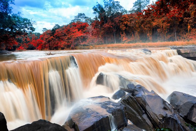 Aerial view of beautiful natural river waterfall and green forest with mountains concept travel on season change.