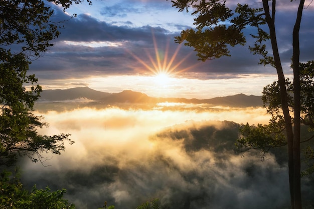 写真 空から眺める 美しい朝の風景 金色の光 日の出と霧の流れ 奇跡の霧