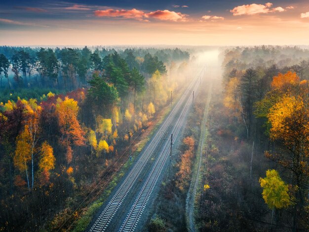 Aerial view of beautiful railroad in autumn forest in foggy sunrise industrial landscape with railway station blue sky with clouds trees with orange leaves fog top view of rural railroad in fall