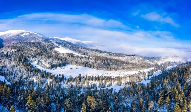 晴れた雲ひとつない日に雪とモミの森に覆われた美しい冬の山の斜面の空撮。ヨーロッパのスキーリゾートの美しさの概念