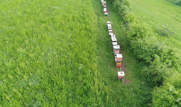 Foto veduta aerea dell'alveare nel campo