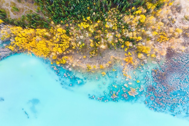 写真 空撮 青緑色の水に映る白樺の森 アブラハム湖 秋の自然の風景 山の湖と木々 バンフ国立公園 アルバータ カナダ 背景と壁紙用の写真