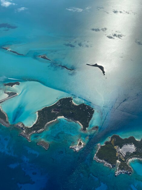 Photo aerial view of birds and sea