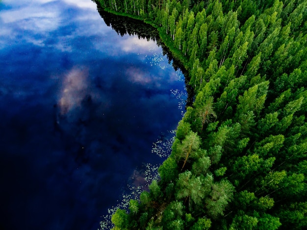 Вид с воздуха на голубое озеро и зеленые летние леса в Финляндии