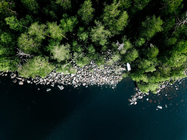 Vista aerea della riva di pietra del lago blu e boschi verdi con alberi di pino in finlandia