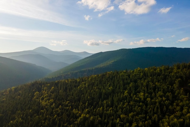 Aerial view of bright foggy morning over dark hills with mountain forest trees at autumn sunrise Beautiful scenery of wild woodland at dawn