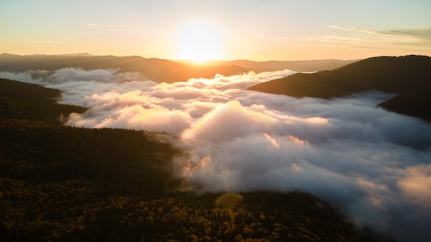 Aerial view of bright foggy morning over dark mountain forest trees at autumn sunrise. Beautiful scenery of wild woodland at dawn