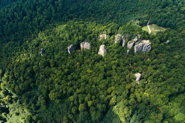 Aerial view of bright landscape with green forest trees and big\
rocky boulders between dense woods in summer. beautiful scenery of\
wild woodland.