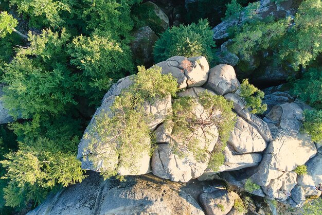 Aerial view of bright landscape with green forest trees and big rocky boulders between dense woods in summer. Beautiful scenery of wild woodland.