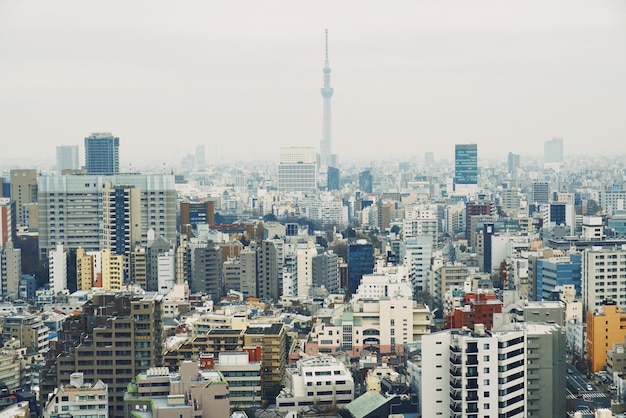 都市の建物の空中景色
